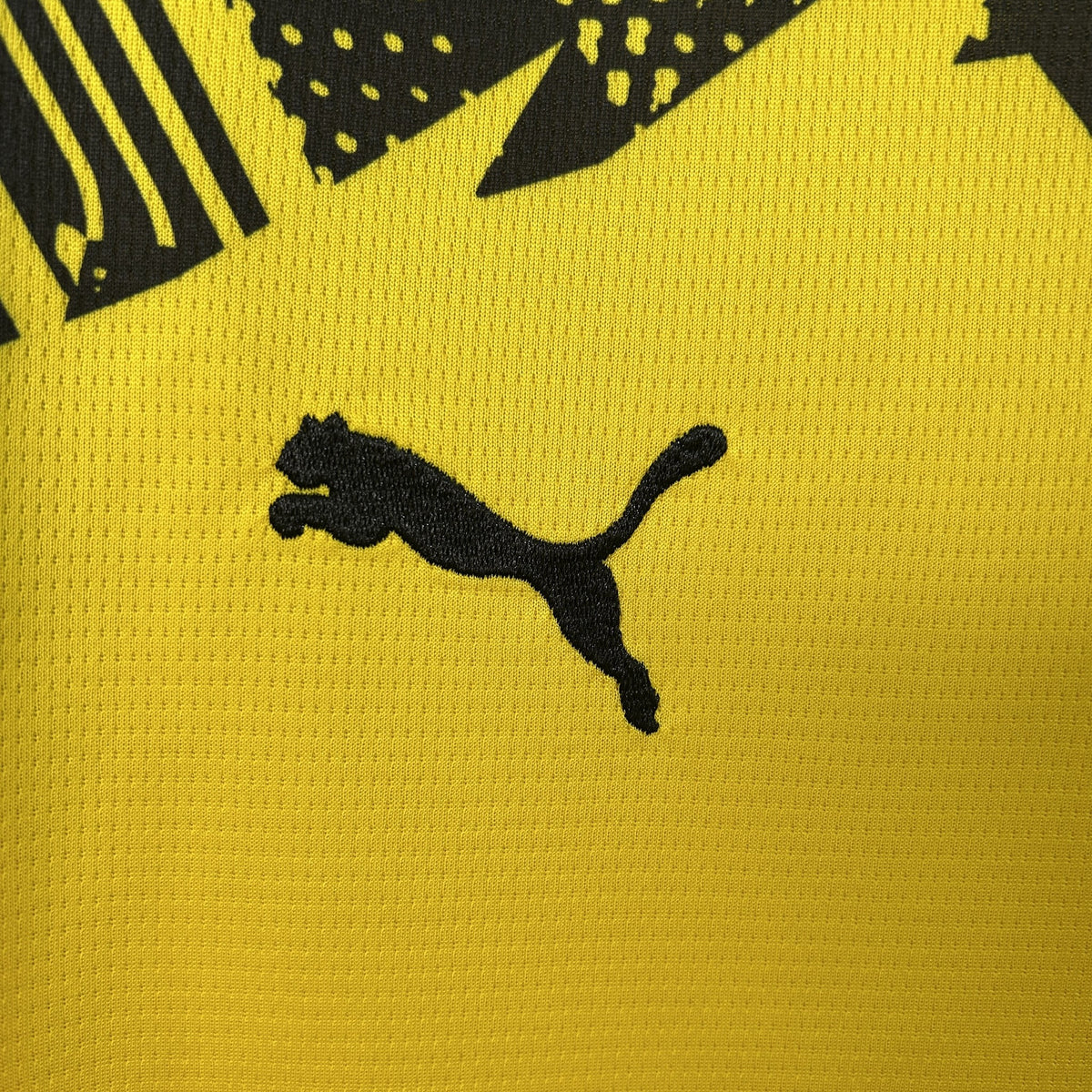 Camisola Borussia Dortmund Principal 25/26