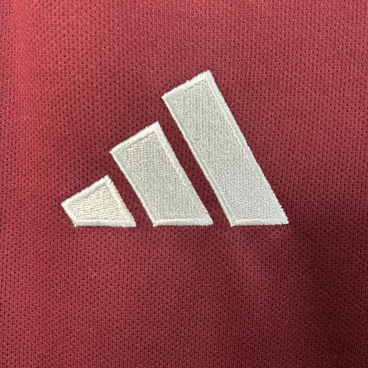 Camisola Aston Villa Principal 25/26