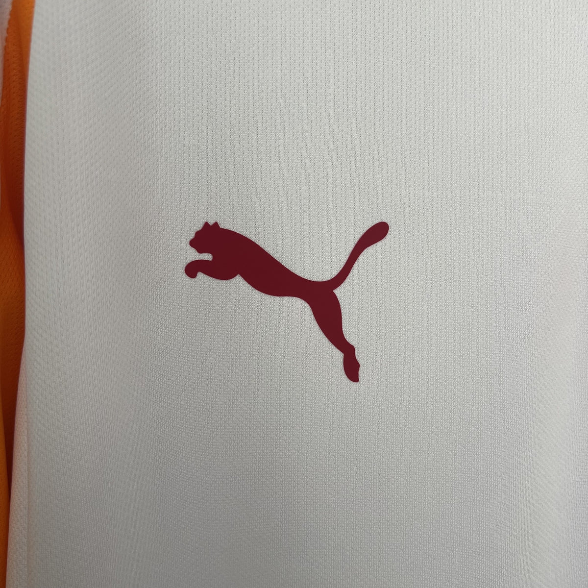 Camisola Galatasaray Alternativa 25/26