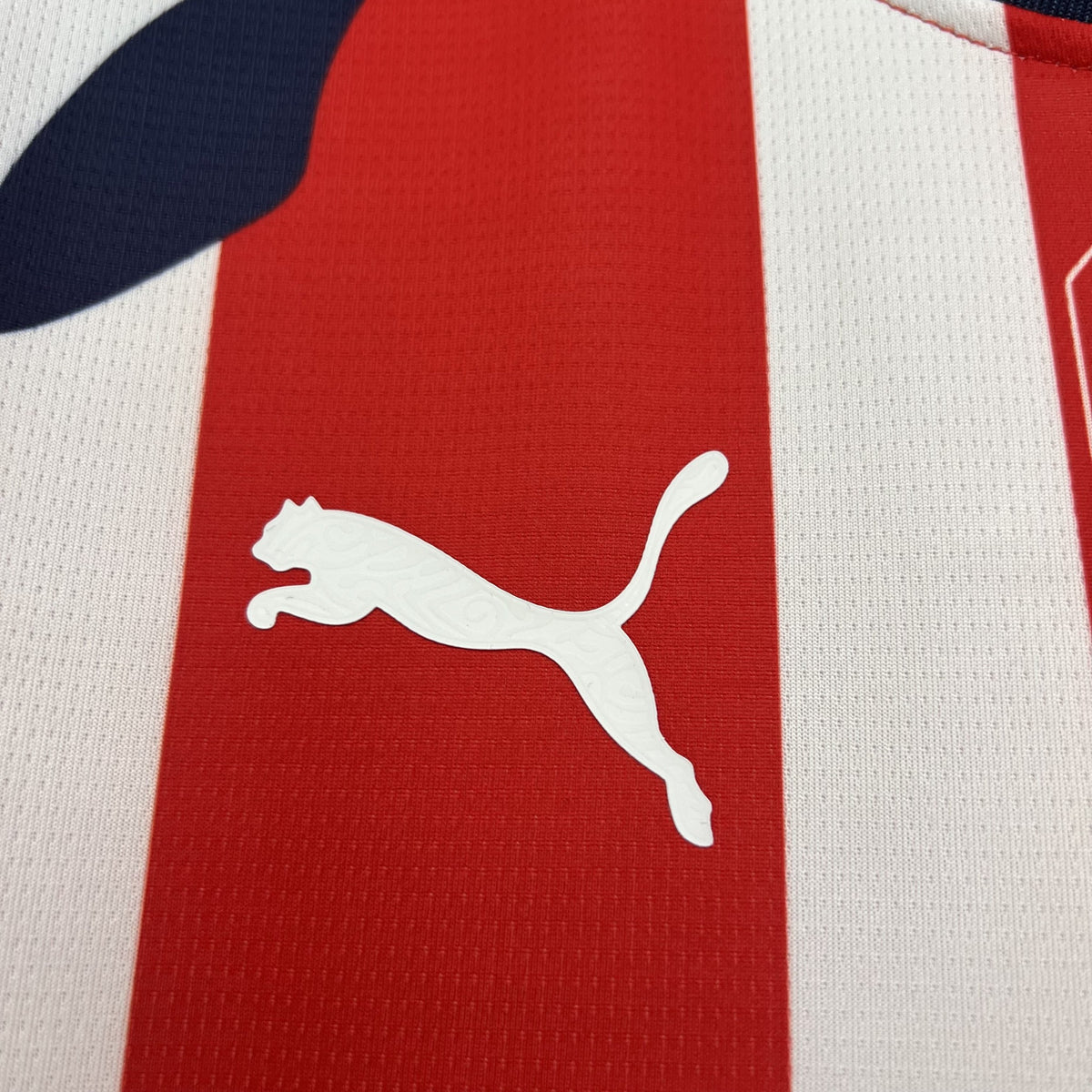 Camisola Chivas Principal 25/26