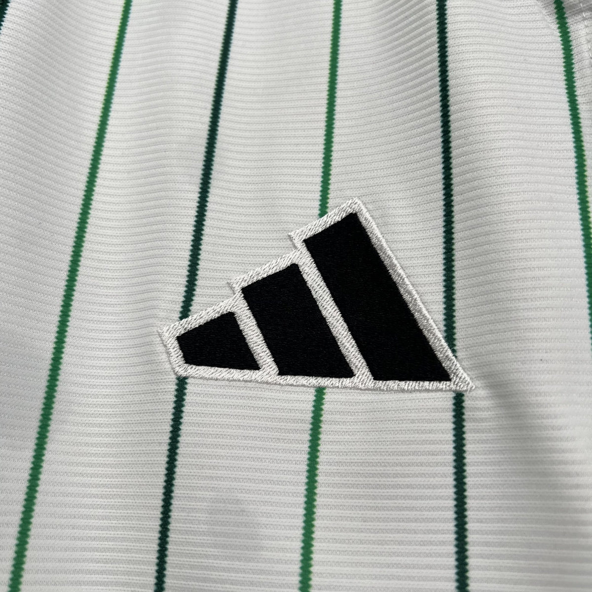 Camisola Celtic Edição Especial 25/26