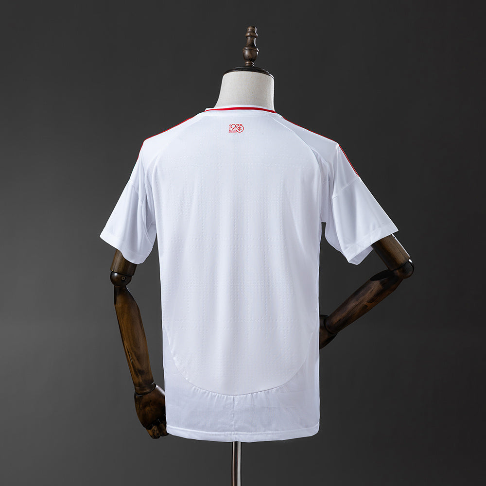 Camisola Internacional Alternativa 25/26