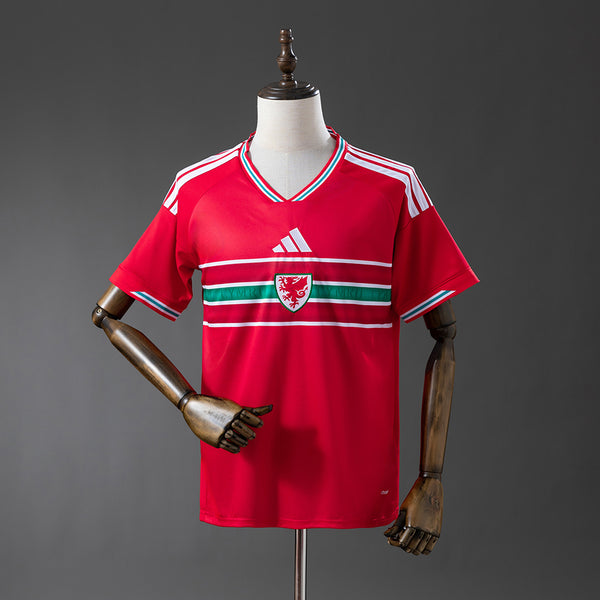 Camisola País de Gales Principal 26/27 - Mundial 2026