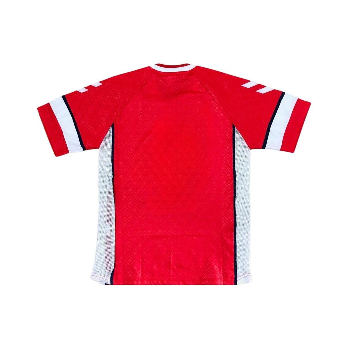 Camisola Dinamarca Principal 90/91
