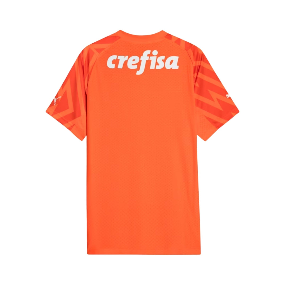 Camisola Palmeiras Guarda-Redes 24/25