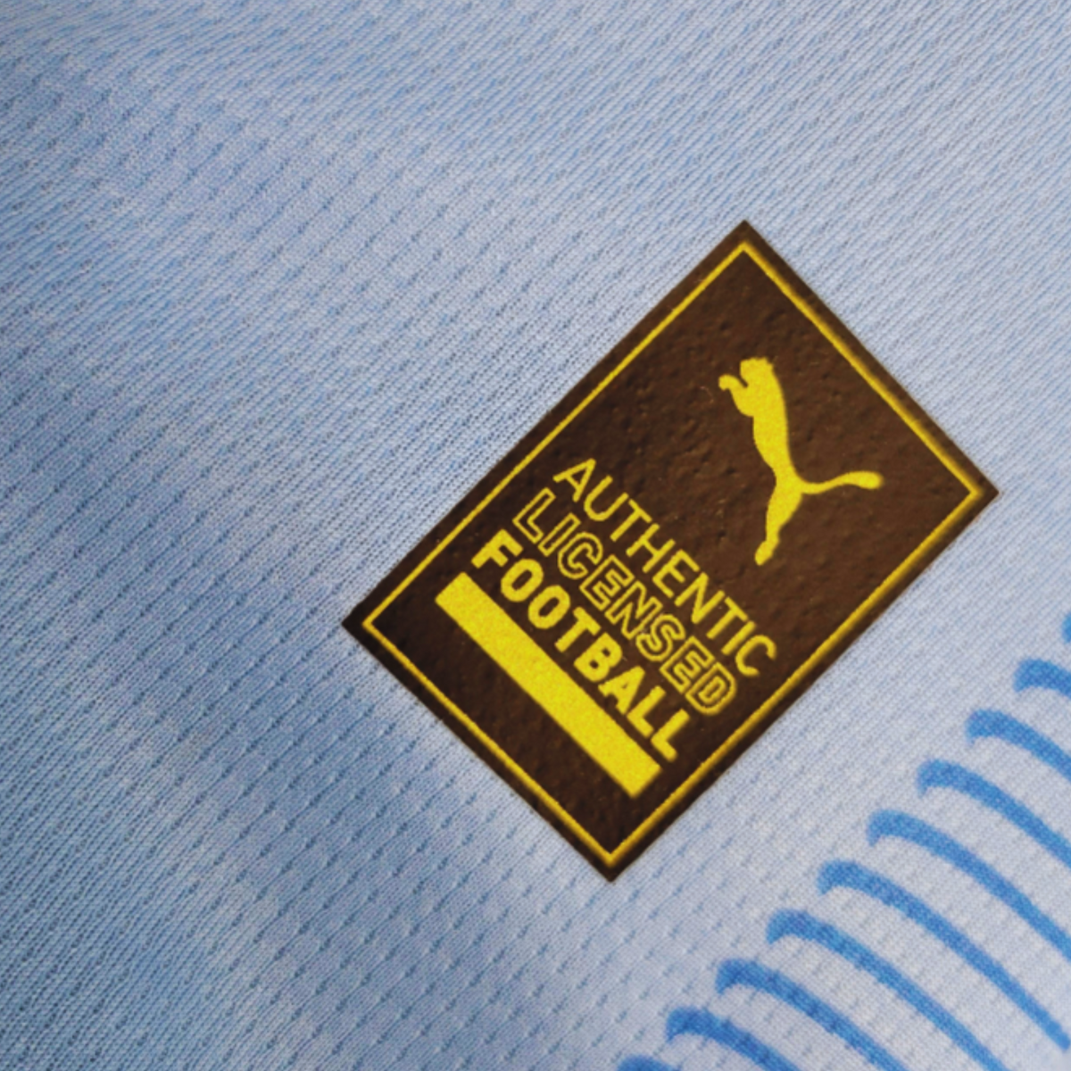 Camisola Manchester City Principal 23/24