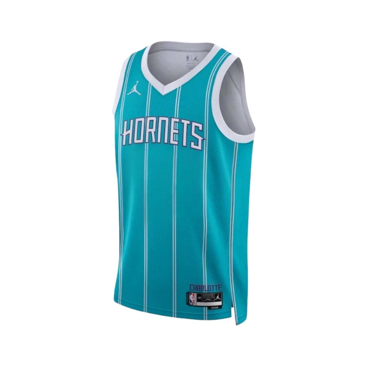 Camisola Charlotte Hornets Icon Edição 25/26