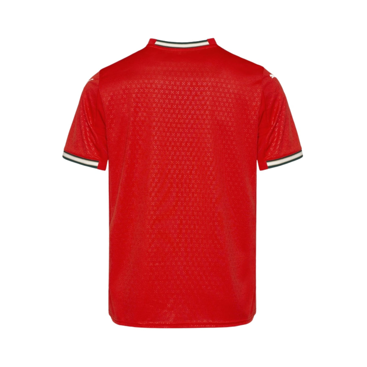 Camisola Portugal Principal 25/26 - Mundial 2026