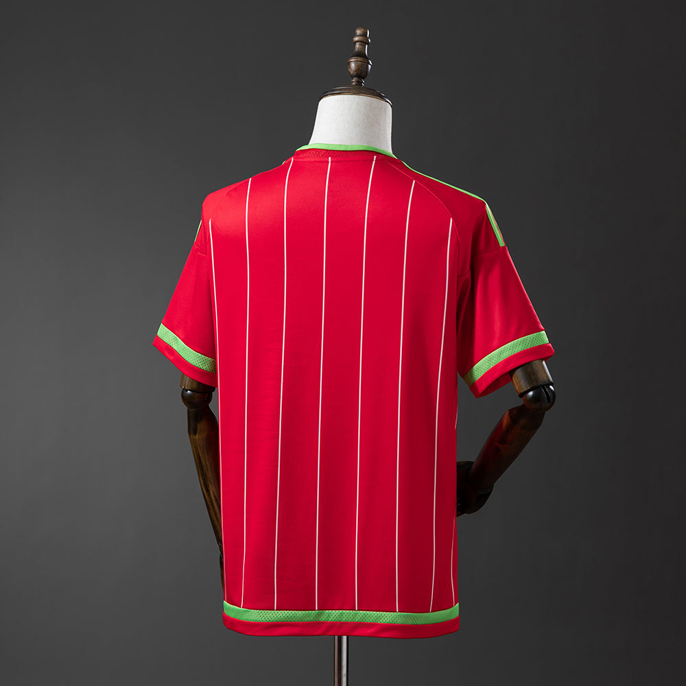 Camisola País de Gales Principal 15/16 Retro