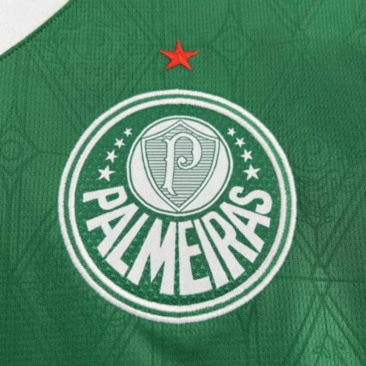 Camisola Palmeiras Principal 25/26