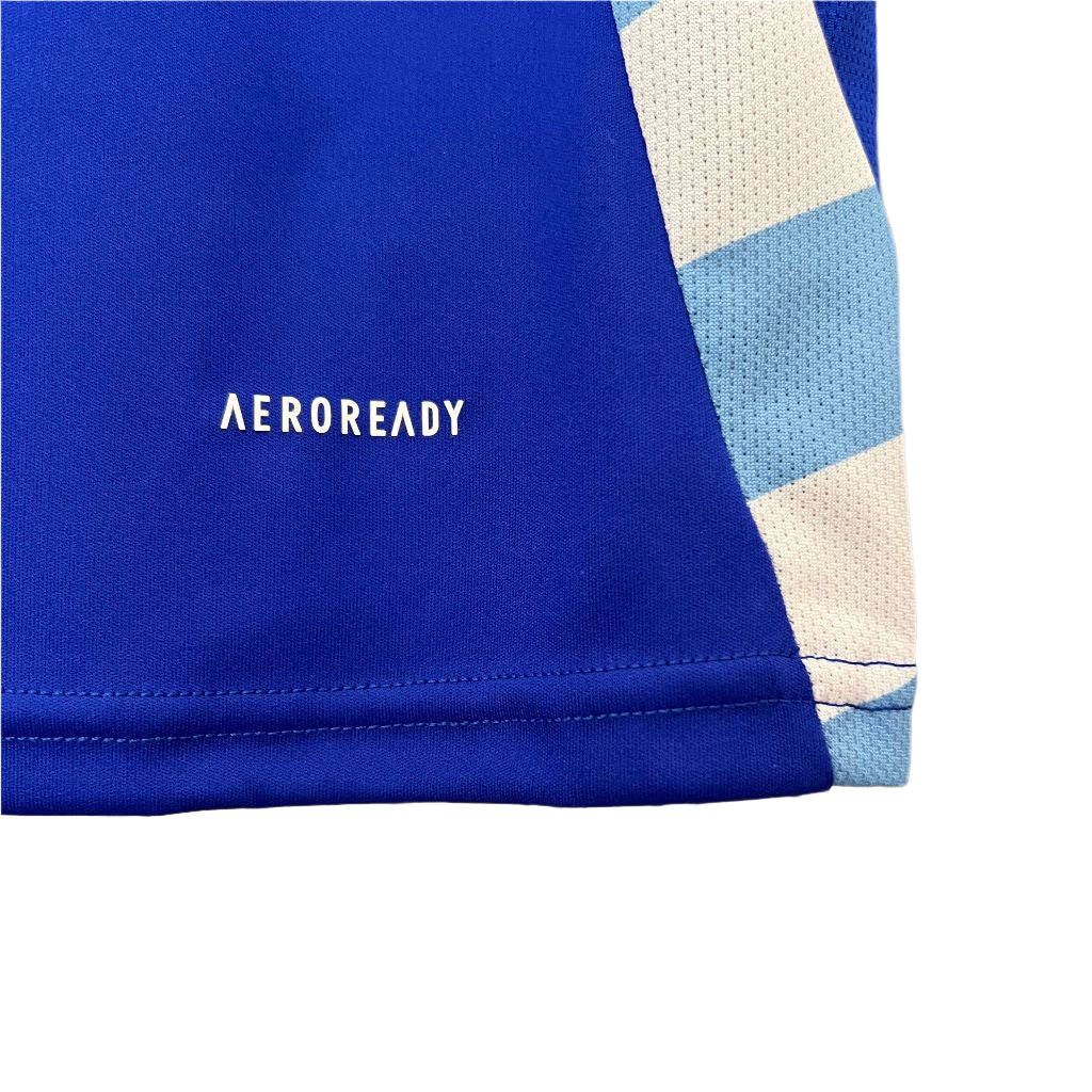 Camisola Argentina Alternativa 24/25