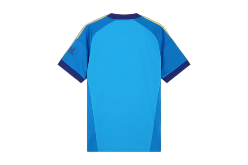 Arsenal Guarda-Redes Alternativa 26/27