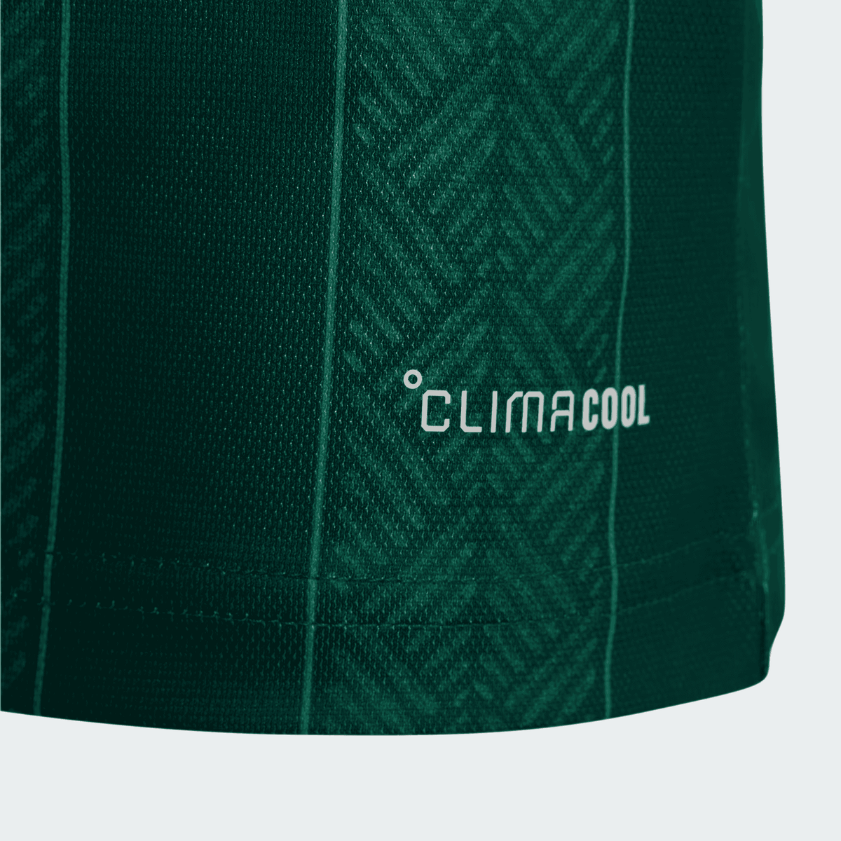 Camisola África do Sul Alternativa 26/27 - Mundial 2026